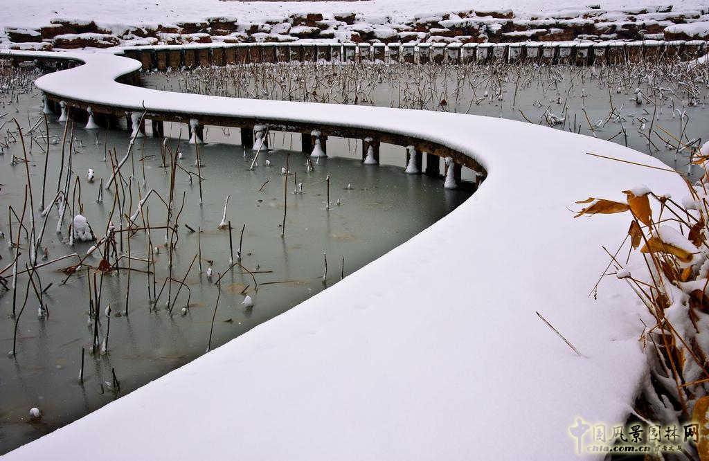 2016園冶杯：尹山湖環(huán)湖二期景觀設(shè)計