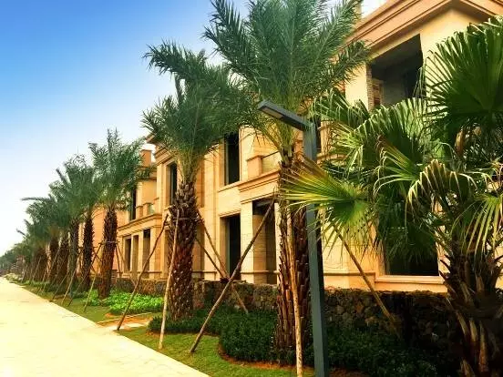 海口“香格里莊園”施工火熱進行中