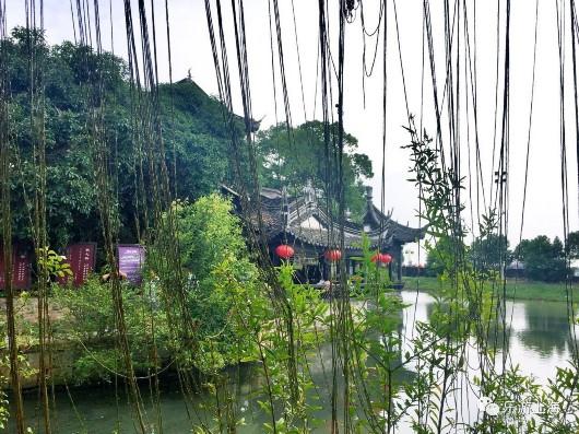 上海這個(gè)深藏不露的絕美園林免費(fèi)開放10天