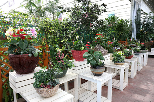 深入企業(yè)共話園林發(fā)展——風(fēng)景園林部落一行參觀考察西湖山莊項(xiàng)目