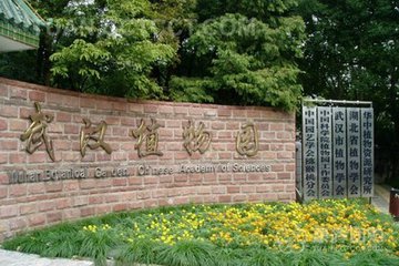 武漢植物園生物多樣性監(jiān)測網(wǎng)絡(luò)基地揭牌