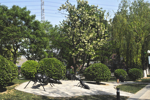 中國風景園林網考察世界花卉大觀園