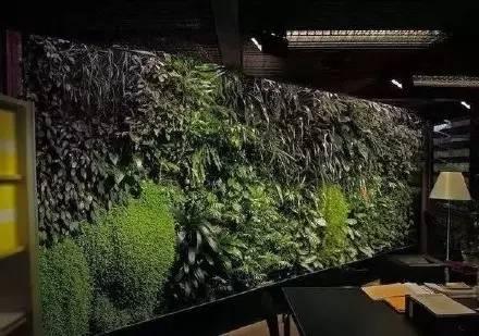 垂直花園設(shè)計(jì)為生活帶來滿滿綠意