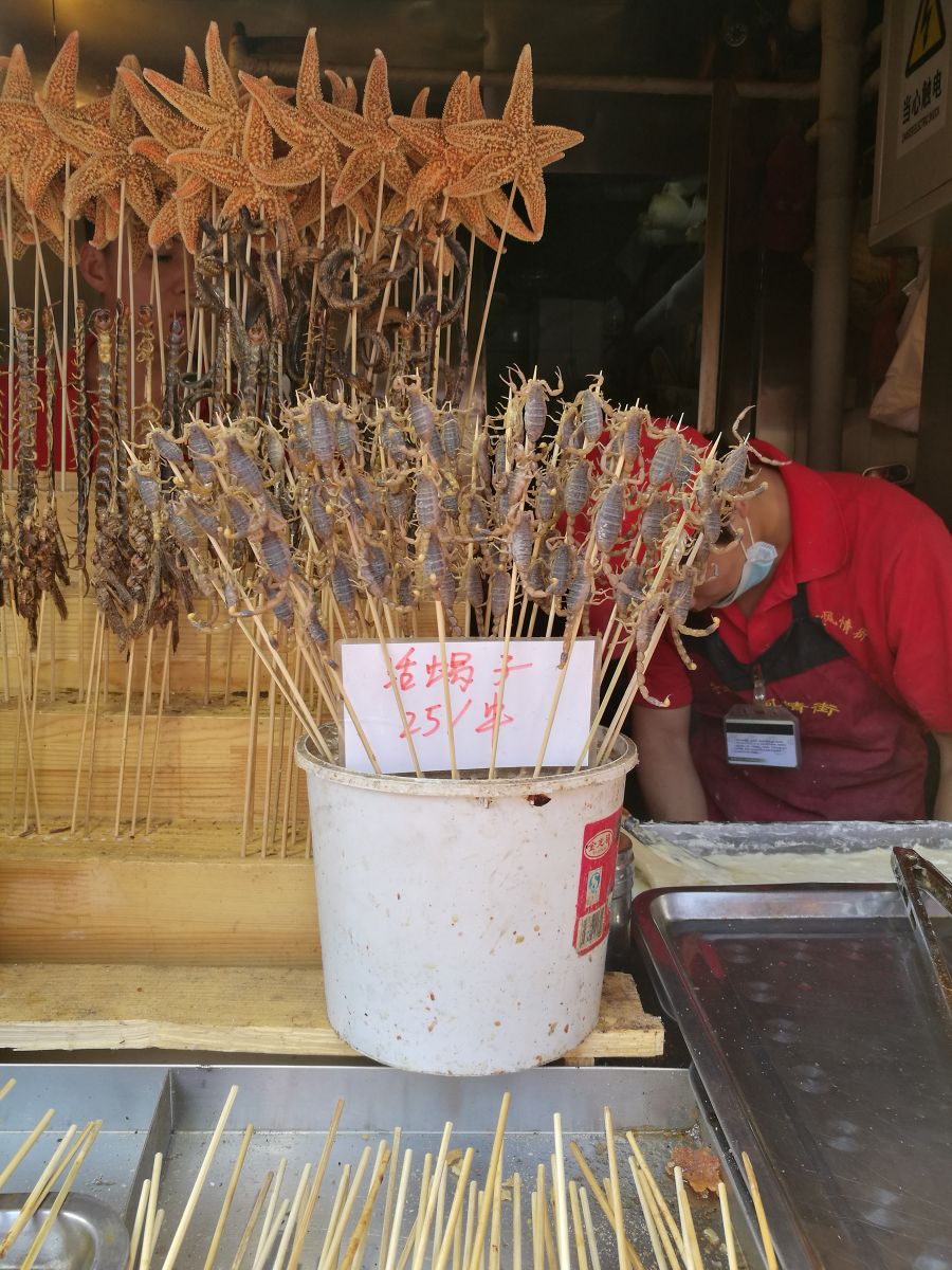 美國景觀專業(yè)學(xué)生來華交流學(xué)習(xí)1