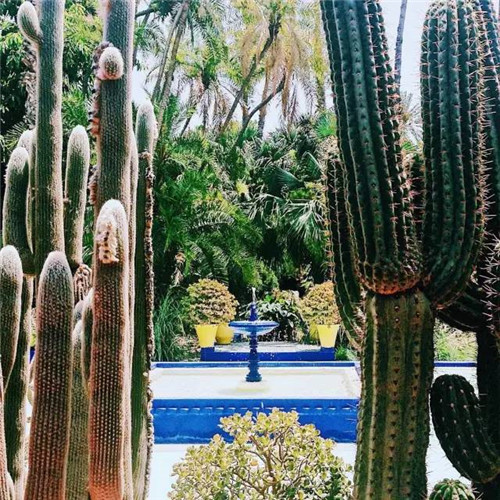 世界上這些驚為天人的植物園你都知道嗎？