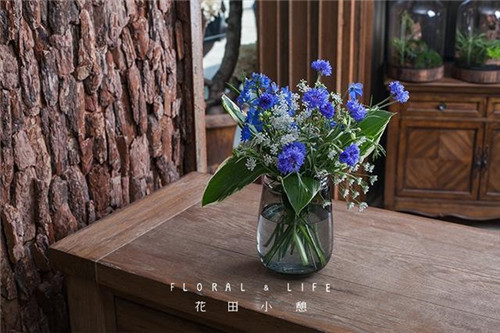 插花技巧為炎炎夏日帶來(lái)一絲清涼