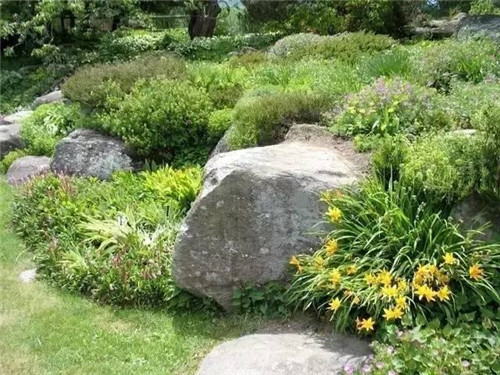 景觀設(shè)計：石頭縫里的景觀
