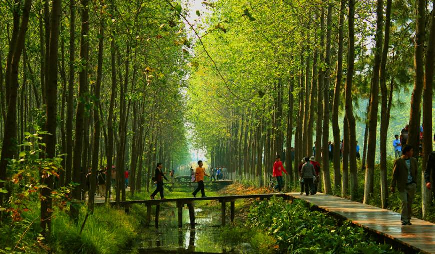 合肥濱湖國(guó)家森林公園4A景區(qū)對(duì)市民開放