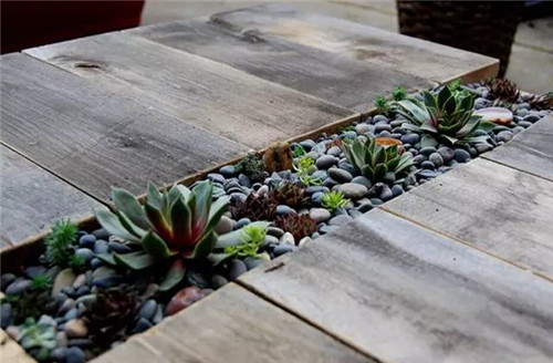 精美絕倫的多肉植物園林景觀美不勝收！