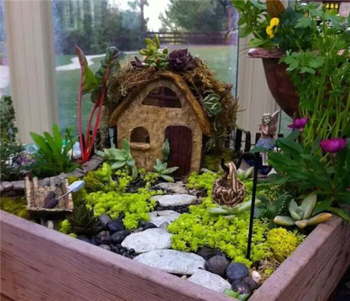 精美絕倫的多肉植物園林景觀美不勝收！