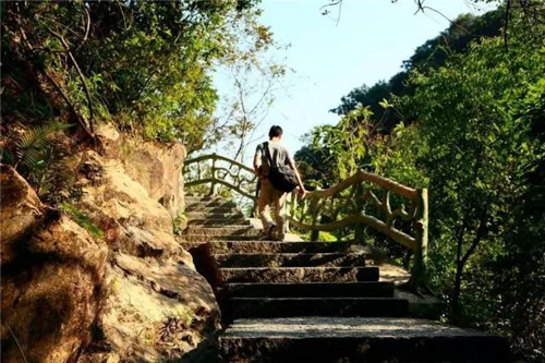 景區棧道多如牛毛，吸引游客才是王道