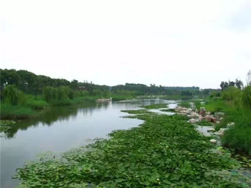 治理河流生態(tài)、 復(fù)活河流生命