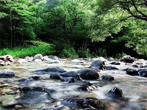 西安國(guó)家級(jí)森林公園——朱雀森林公園