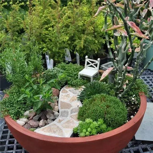 迷你微縮版花園，心都給萌化了