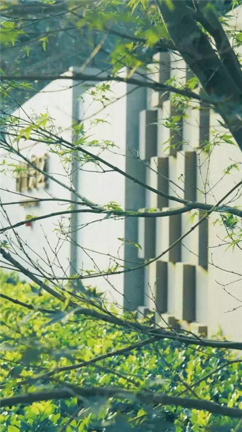 景觀設計中老師如何教？學生如何學？