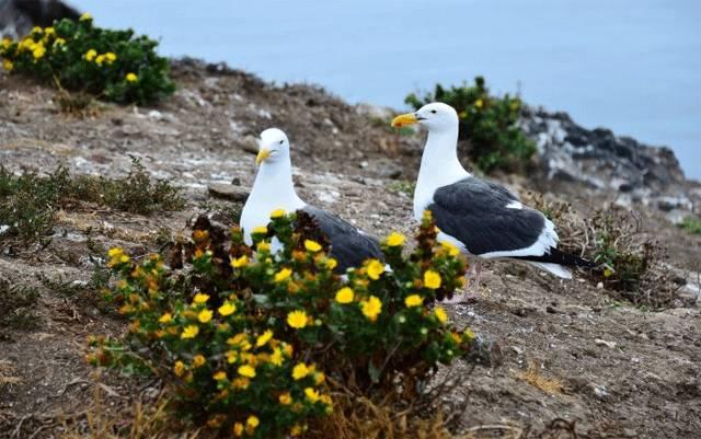 你知道美國加州的9個國家公園嗎？