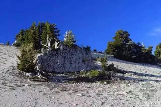 你知道美國加州的9個國家公園嗎？