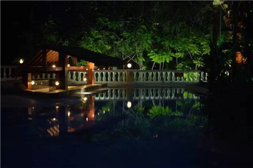 北京五環(huán)內(nèi)竟然有座“城市森林”？