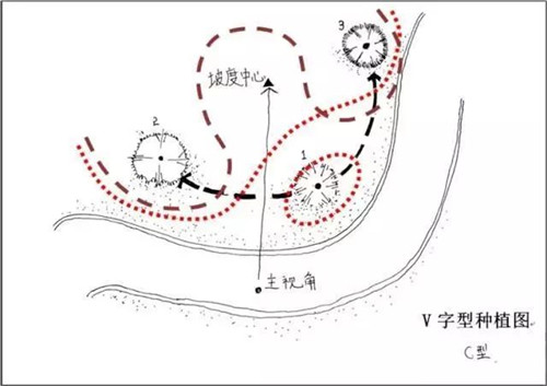 如何讓植物造景在景觀(guān)設(shè)計(jì)中更有范兒？
