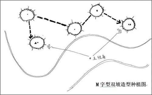 如何讓植物造景在景觀(guān)設(shè)計(jì)中更有范兒？