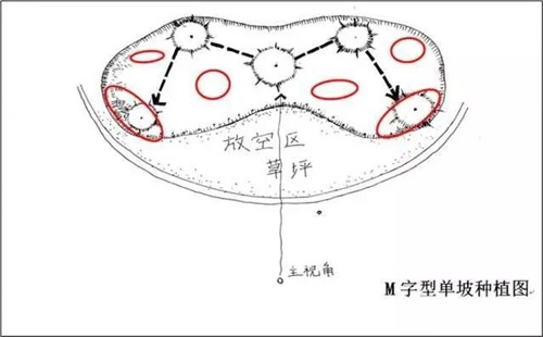 如何讓植物造景在景觀(guān)設(shè)計(jì)中更有范兒？