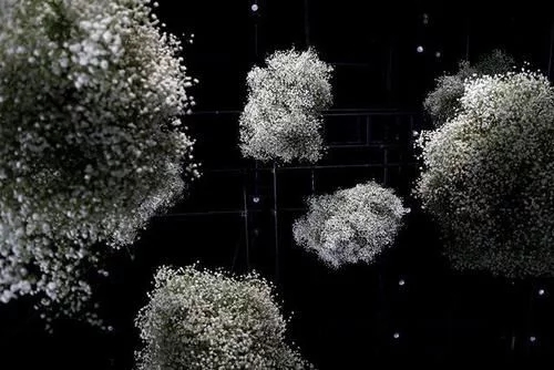 時尚、藝術、花卉 一場盛開的對話