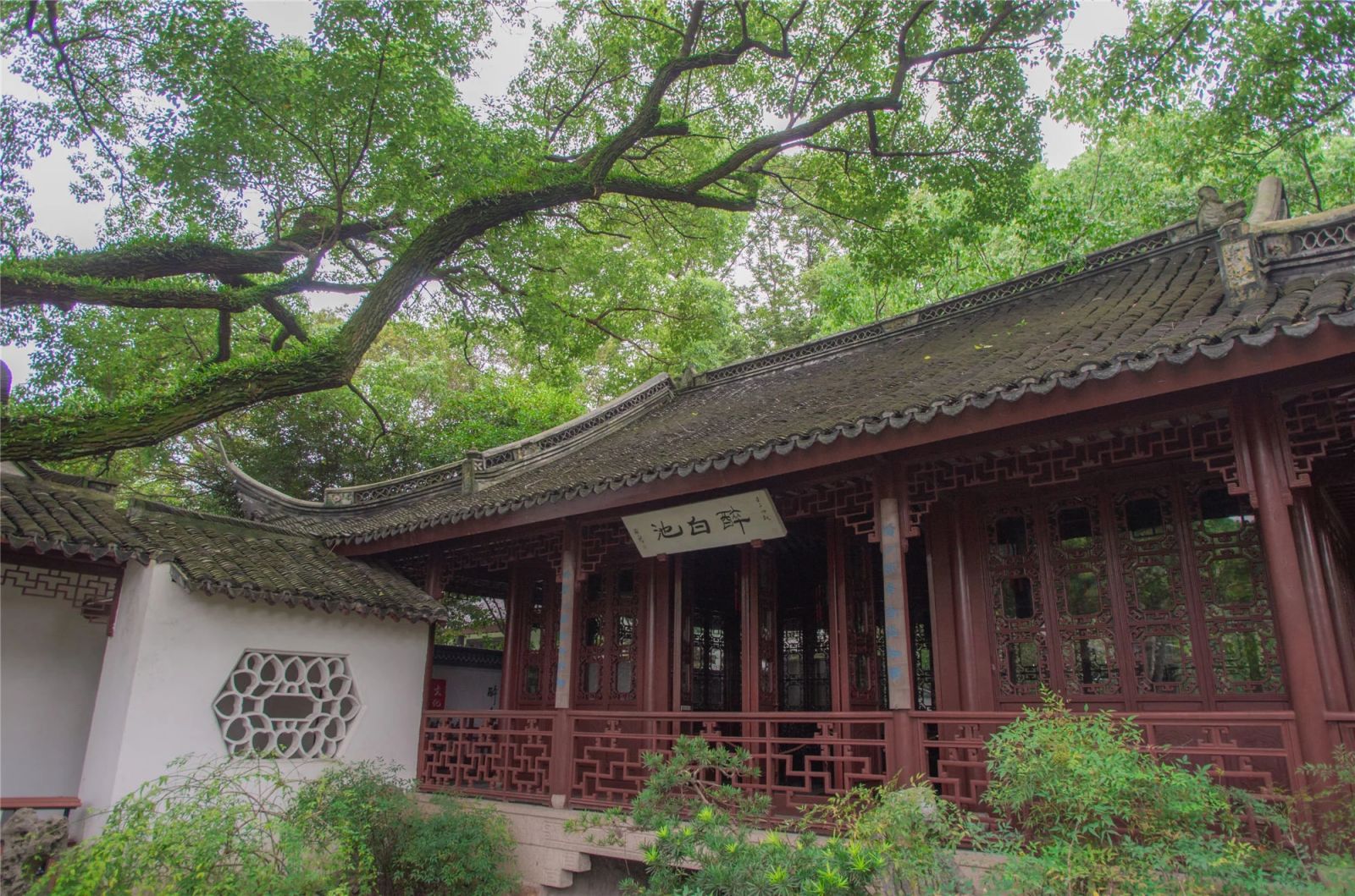 上海這個(gè)元代古典園林竟然包含這么多秘密