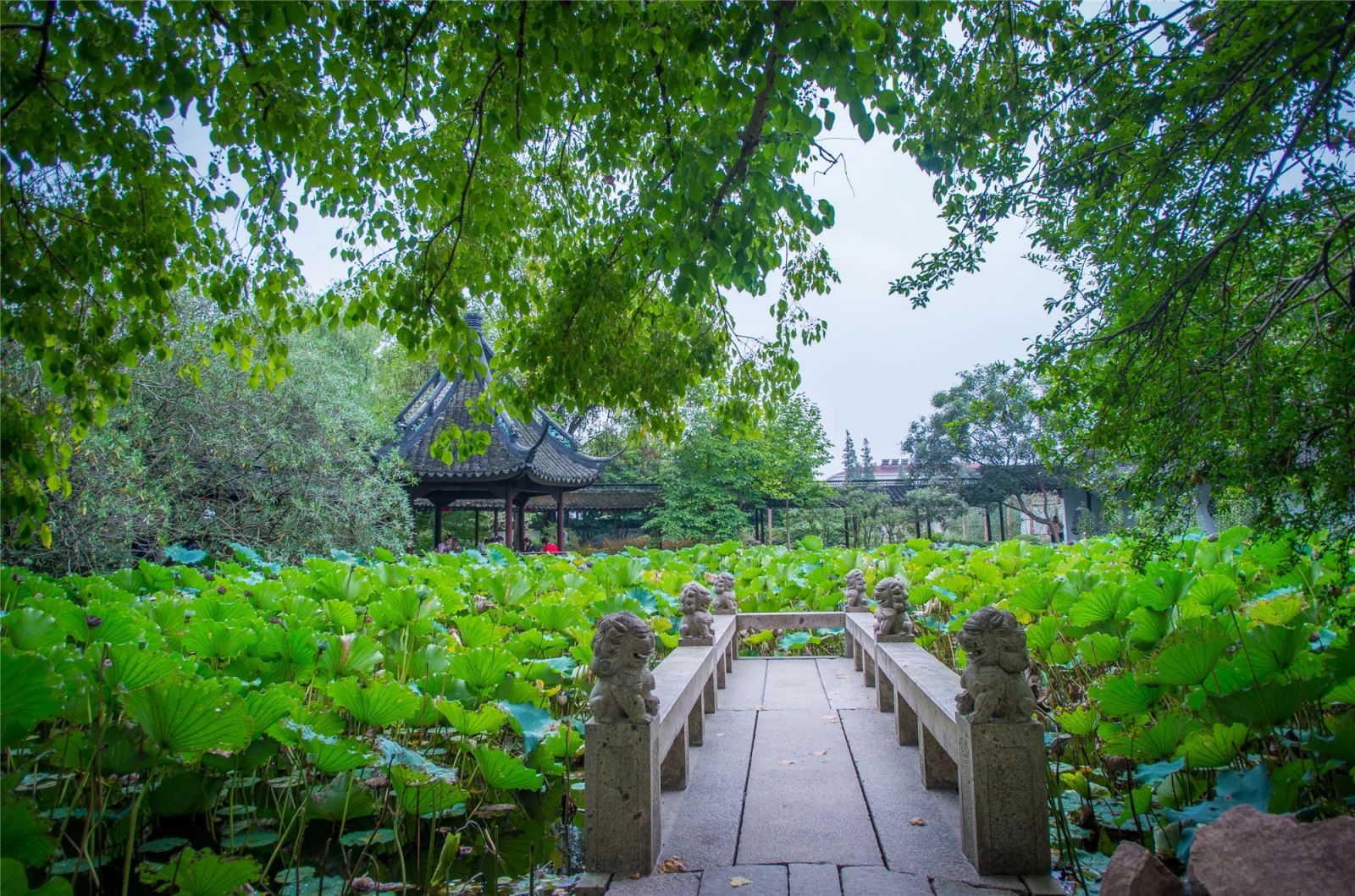 上海這個(gè)元代古典園林竟然包含這么多秘密