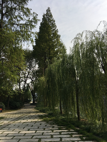 園冶杯專業(yè)獎：滁州內(nèi)城河景觀改造設(shè)計