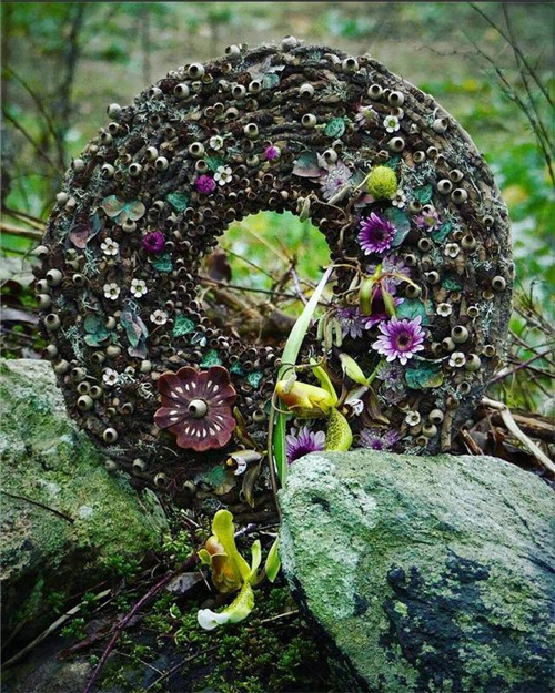 花藝的魅力：花環(huán)設(shè)計(jì)