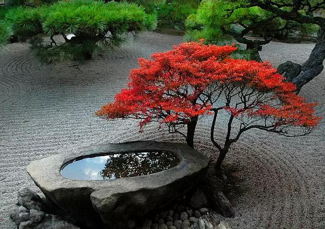 佛系庭院，就是極致空靈！