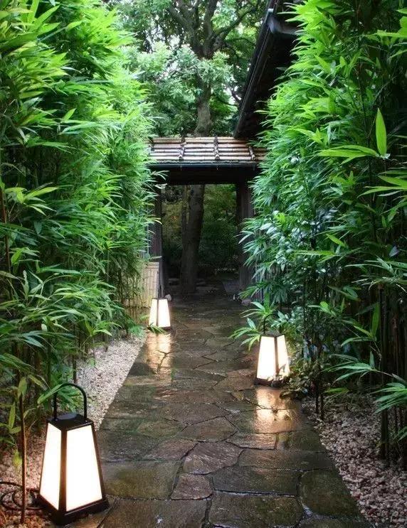 佛系庭院，就是極致空靈！