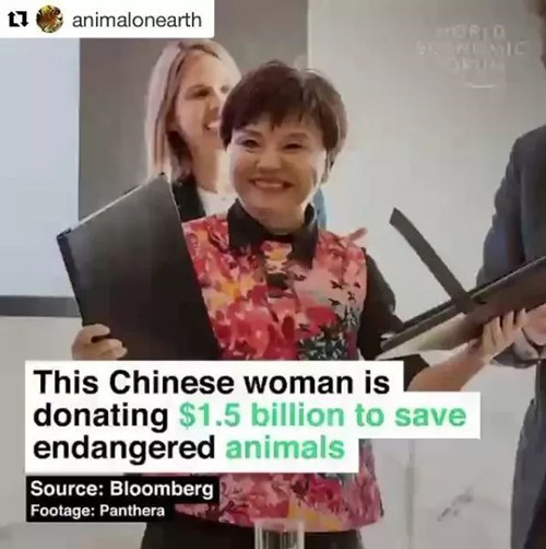 何巧女的"風(fēng)頭"