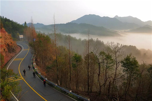 浙江慶元要建成江南一流生態(tài)旅游目的地
