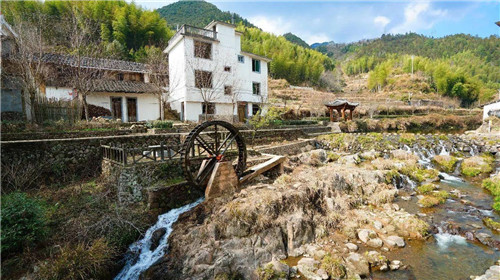 浙江慶元要建成江南一流生態(tài)旅游目的地