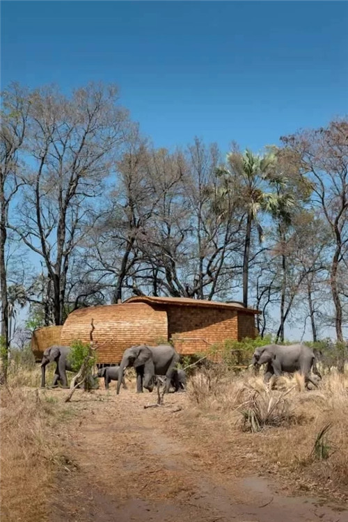 在鄉(xiāng)下建的殼都創(chuàng)意建筑景觀分享!