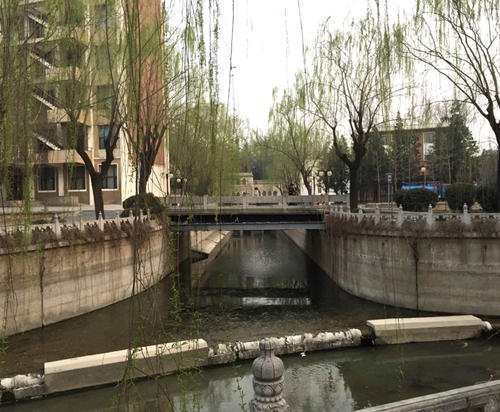 鄭曉笛:學(xué)生參與的校園景觀設(shè)計(jì)與教學(xué)