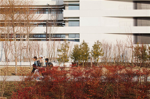 日本代市互助保險公司辦公環境景觀設計