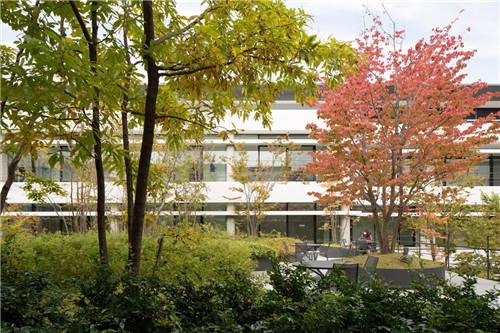 日本代市互助保險公司辦公環境景觀設計