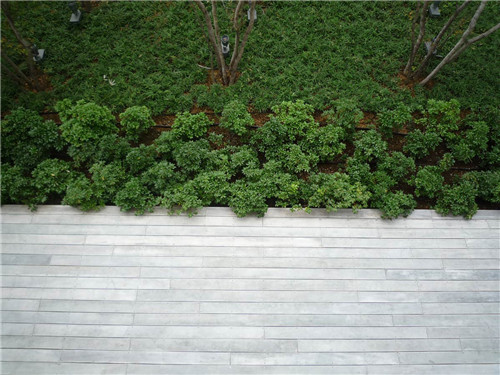 日本代市互助保險公司辦公環境景觀設計