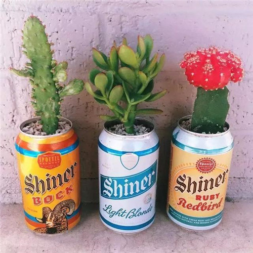 誰說養花插花一定得用花瓶？