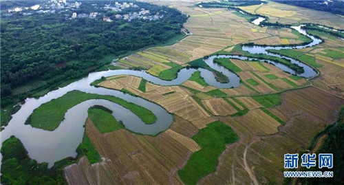 海口:濕地入城美如畫(huà)