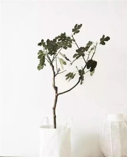 這樣插花,即使花謝了屋子依然會很美