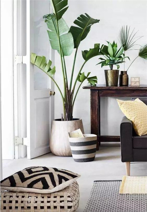 這樣插花,即使花謝了屋子依然會很美