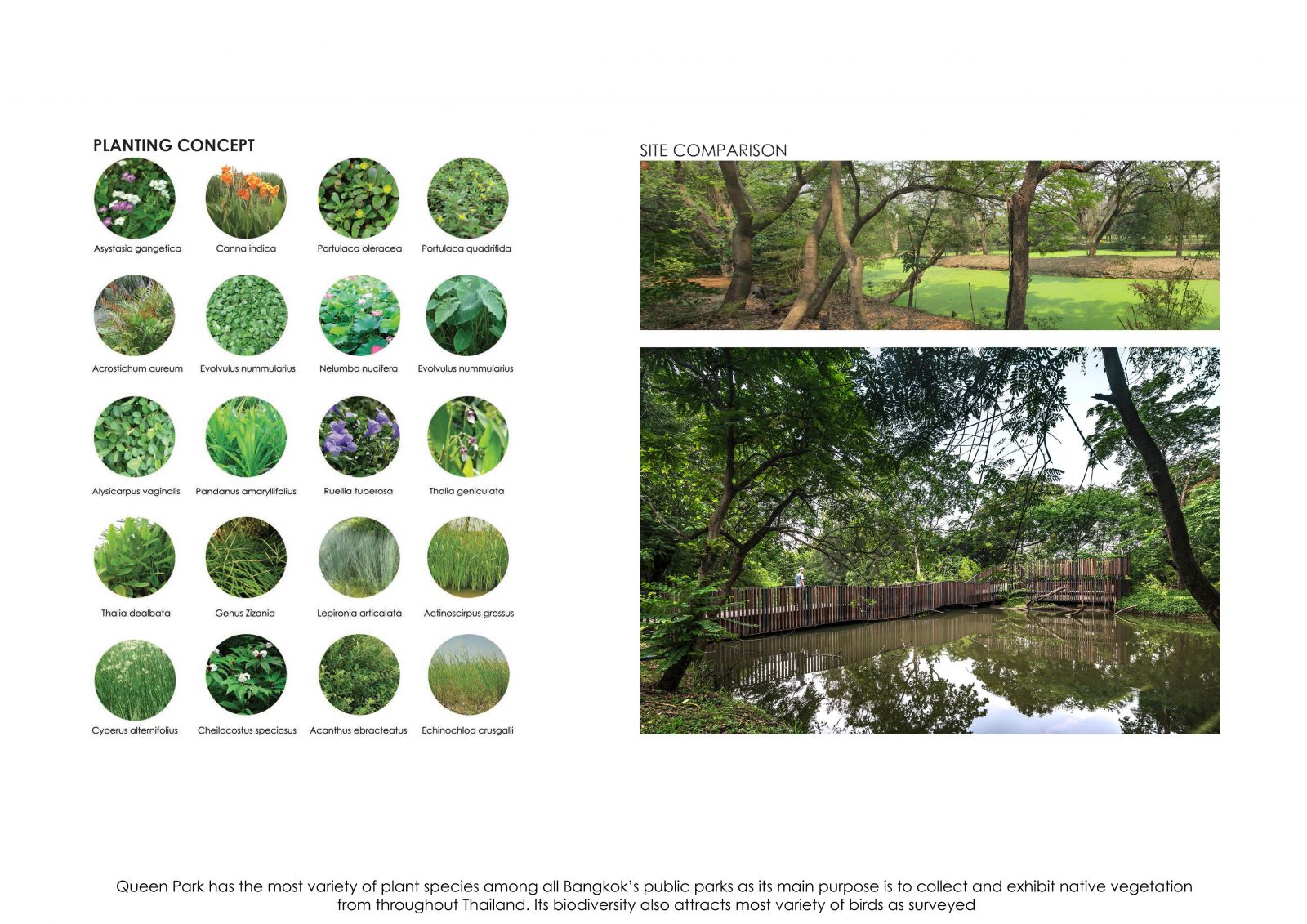 連接城市空間的和諧形式——“飛虹橋”景觀設計方案