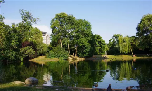 城市公園作為公共空間，如何展現(xiàn)城市魅力
