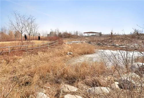 城市公園作為公共空間，如何展現(xiàn)城市魅力