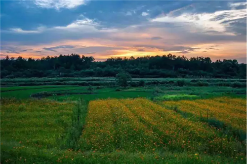 鄉(xiāng)村為底圖，設(shè)計(jì)為橋梁：2018第三屆國際高校建造大賽結(jié)果揭曉