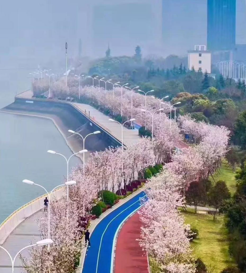 鄭占峰：營(yíng)造城市山水風(fēng)景
