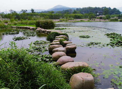 鄭占峰：營(yíng)造城市山水風(fēng)景